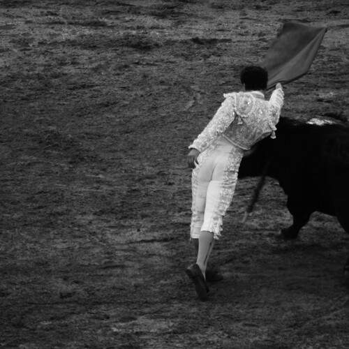 Recuerdos de una tarde taurina en memoria del toro