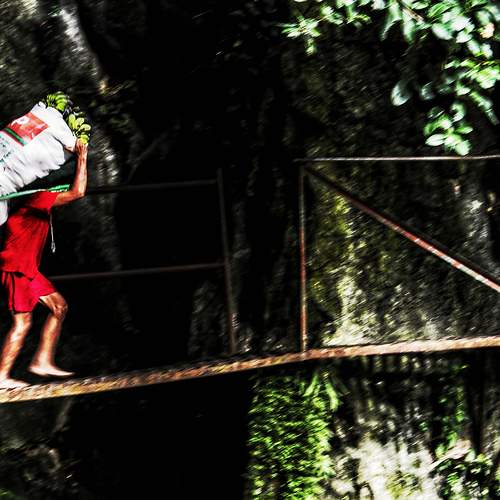 Photo #13273368