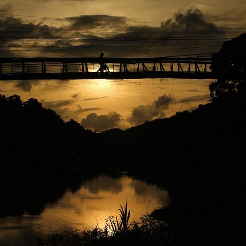 Photo #13273432