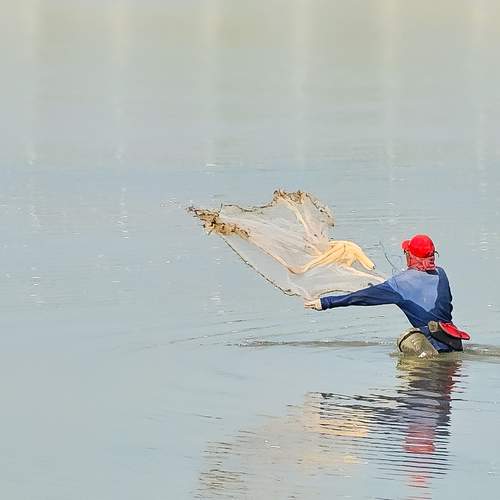 Photo #13273626