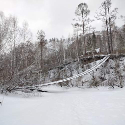 Photo #13273642