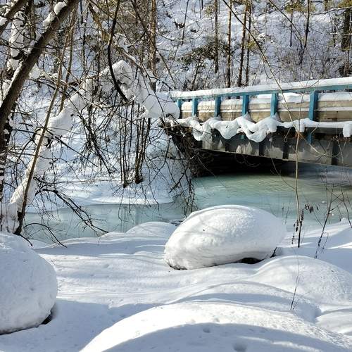 Photo #13273646