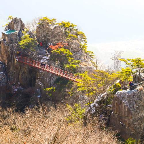 Photo #13273708