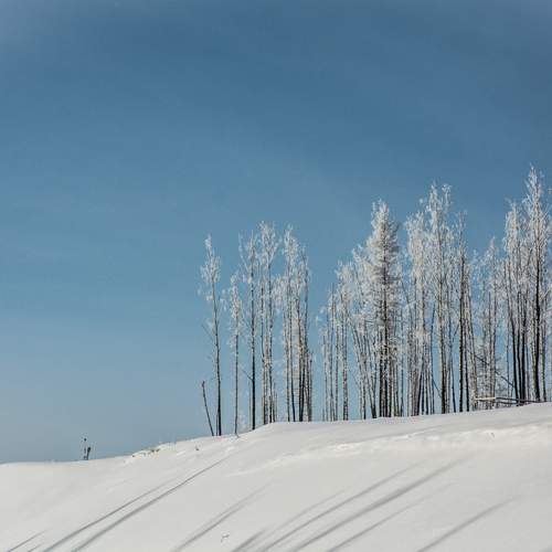 Photo #13273816