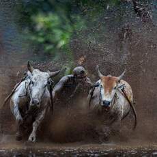 Shanish Mishra