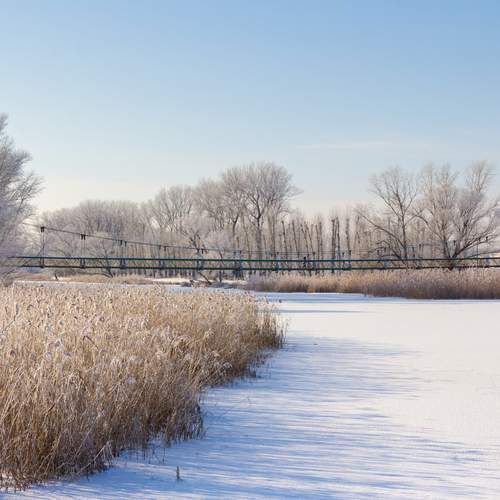 Фотография #13274005