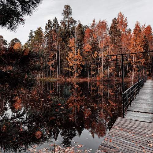 Photo #13274015
