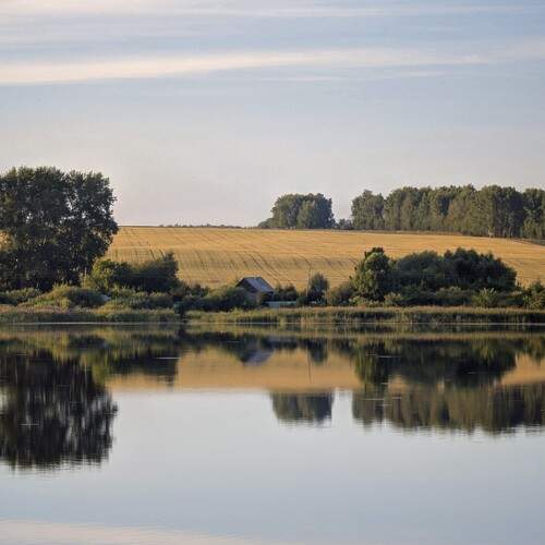 Photo #13274039