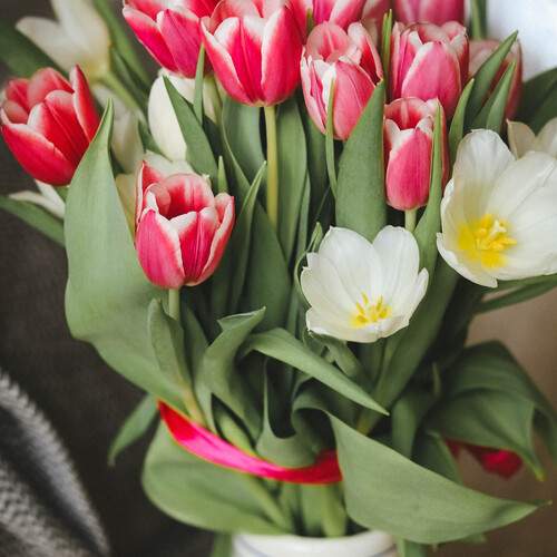 Photo #13274239