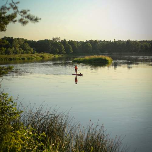 Photo #13274400