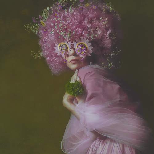 Photo #13274410