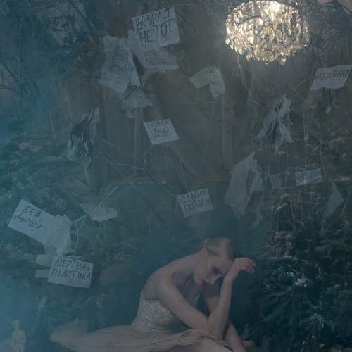 Photo #13274452