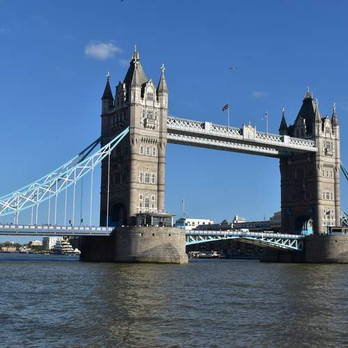 Photo #13274498