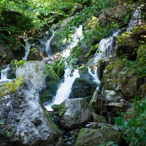Photo #13274698