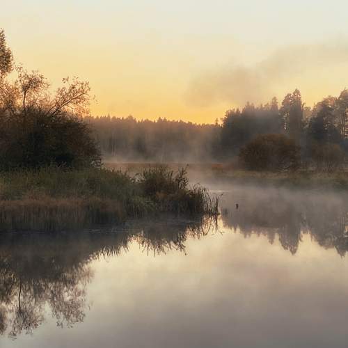 Фотография #13274748