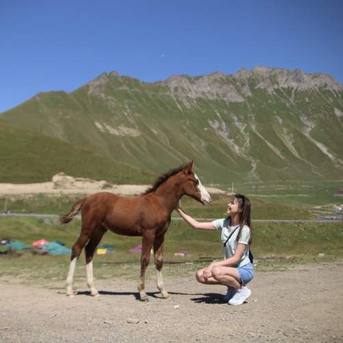 Photo #13275094