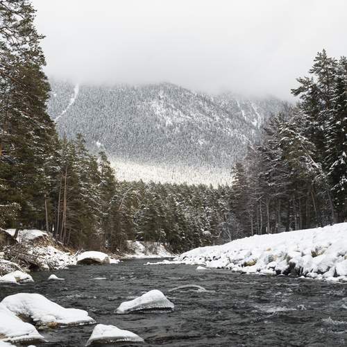 Photo #13275127