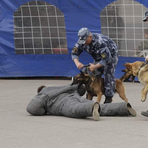 Фотография #13275192