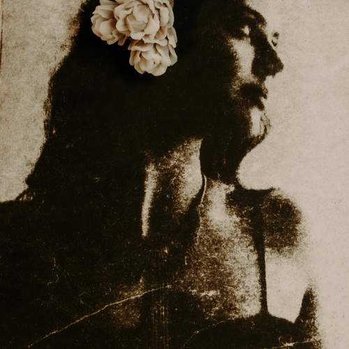 Photo #13275209