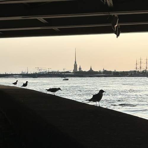 Photo #13275259