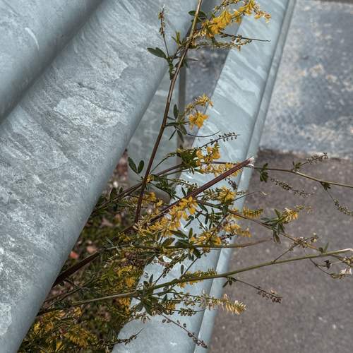 Photo #13275279