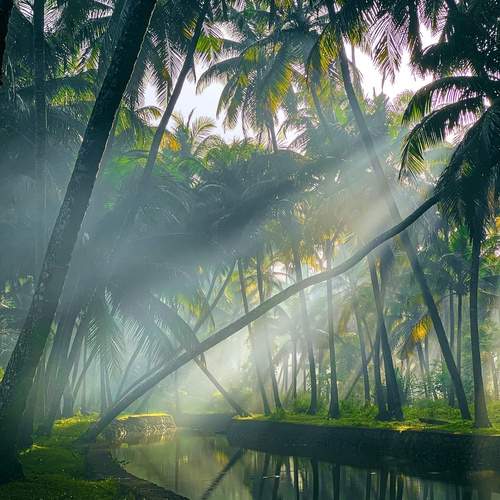 Location-kerala, india