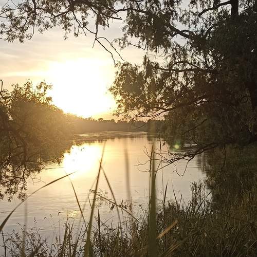 Photo #13275429