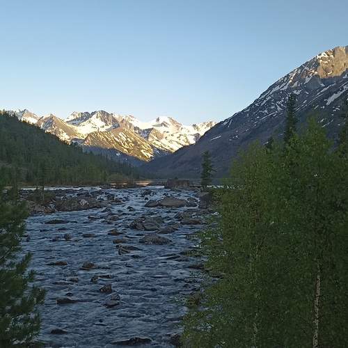 Photo #13275440