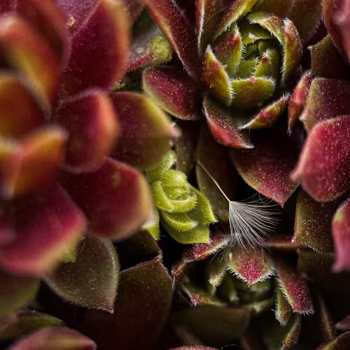 Не такой как все.