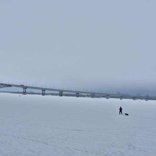 Photo #13275545