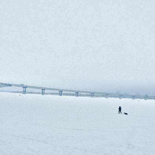 Photo #13275581