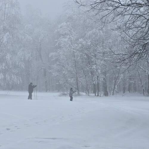 Photo #13275597