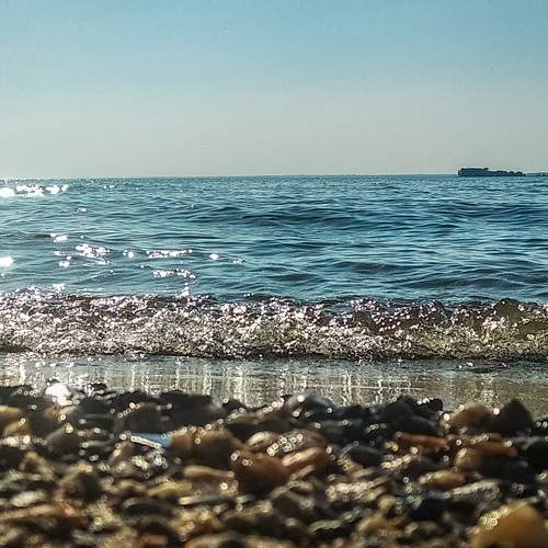Photo #13275669