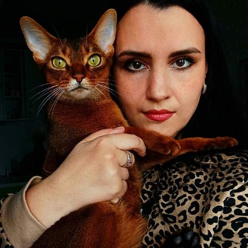 Photo #13275734
