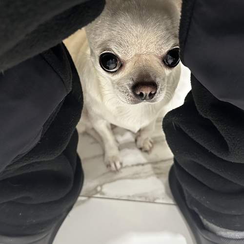 Photo #13275793