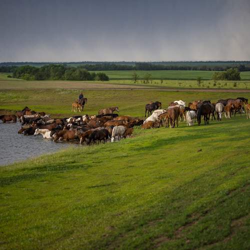 Photo #13275871