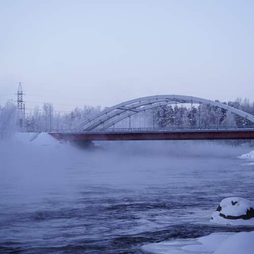 Photo #13275942