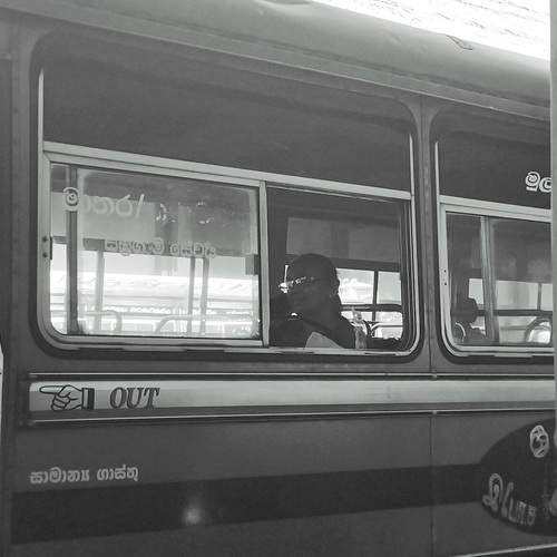 Photo #13275945