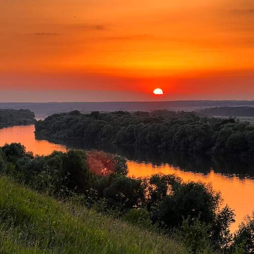Photo #13276195