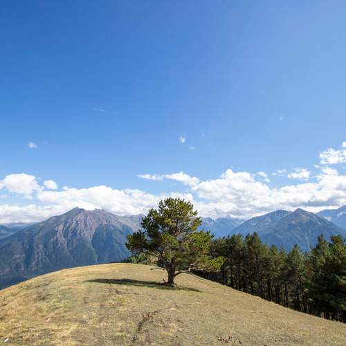 Photo #13276314