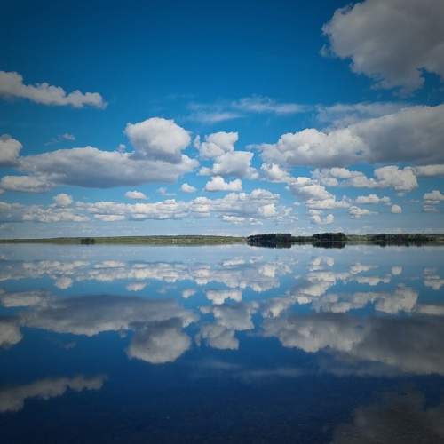 Photo #13276319
