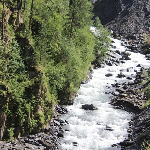 Photo #13276349