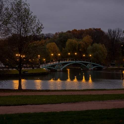 Photo #13276384
