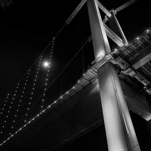 Фотография #13276492