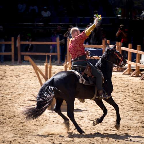 Photo #13276544