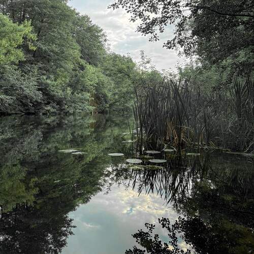Photo #13276694