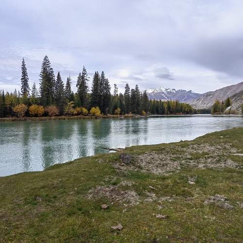 Photo #13277039