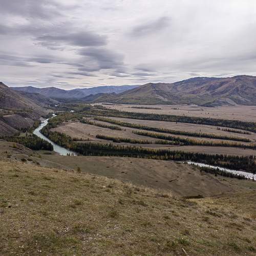 Photo #13277040