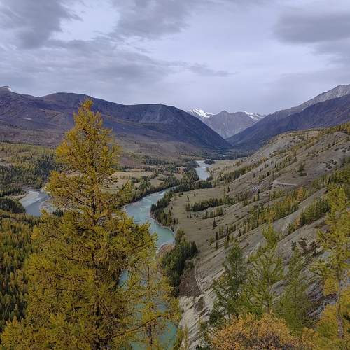 Photo #13277041
