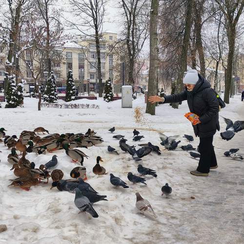 Photo #13277176